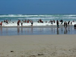 Grotto Beach - 15.jpg